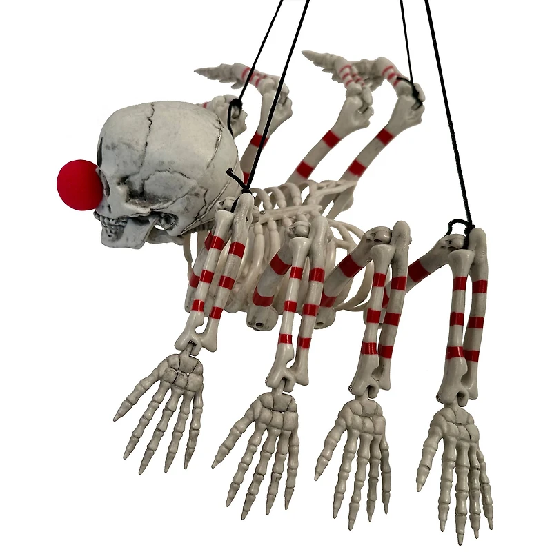 10.5" Skeleton Clown Spider by Ashland®