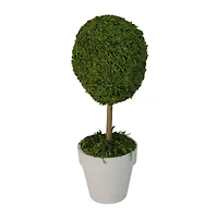 14" Artificial Reindeer Moss Ball Topiary Tree in White Pot