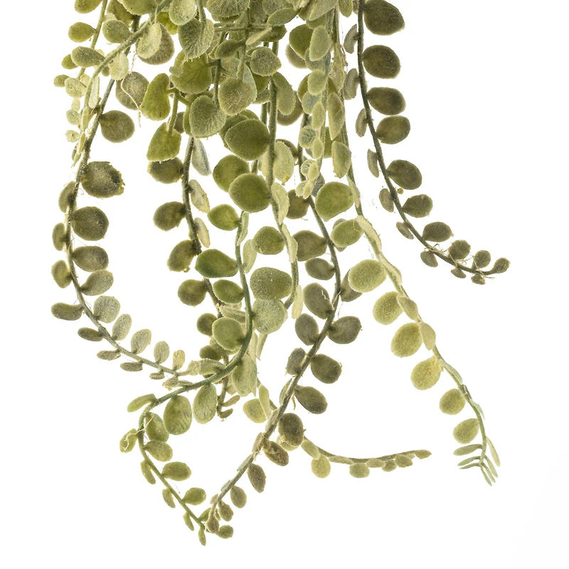 Weeping Fern Stem by Ashland®