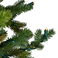 6.5ft. Pre-Lit Full North Pine Artificial Christmas Tree, Clear LED Lights