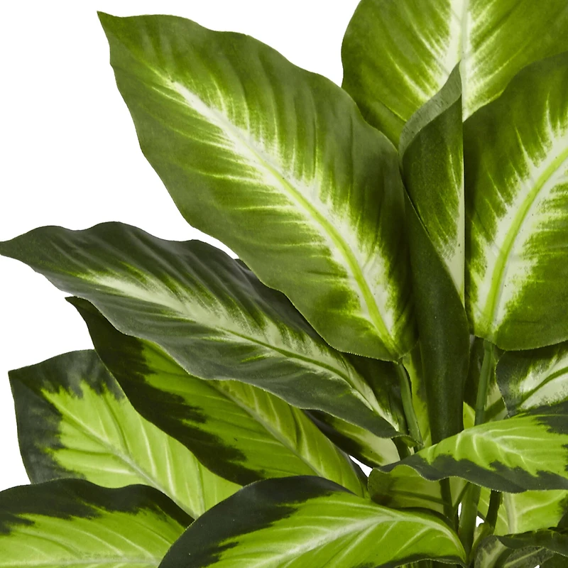 22" Potted Dieffenbachia in White Decorative Planter