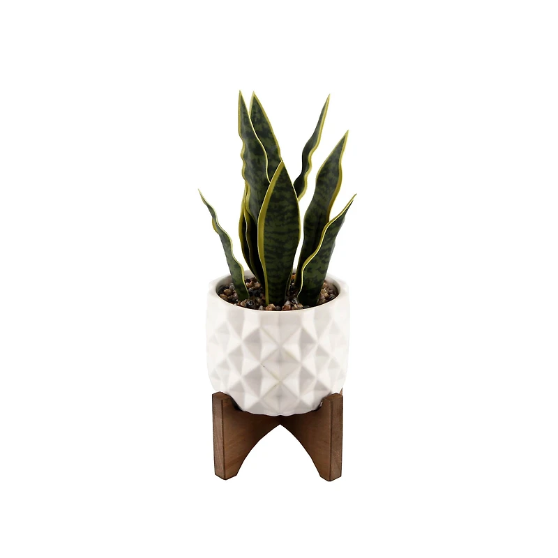 Flora Bunda® 12.5" Snake Plant in Ceramic Planter with Stand