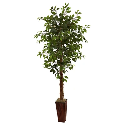 6ft. Ficus Tree in Bamboo Planter