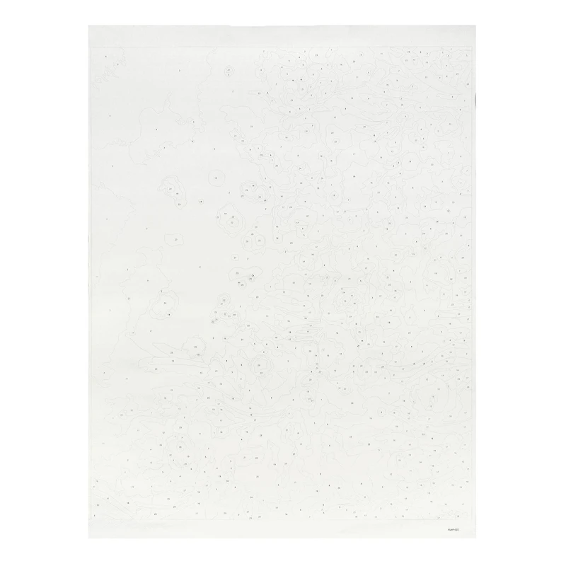 16" x 20" Flowers Paint-by-Number Kit by Artist's Loft®