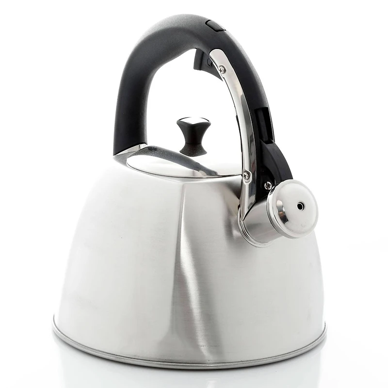 Mr. Coffee Belgrove 2.5qt. Brushed Stainless Steel Whistling Tea Kettle with Nylon Handle