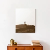 Morning Deer 16" x 20" Canvas Wall Art