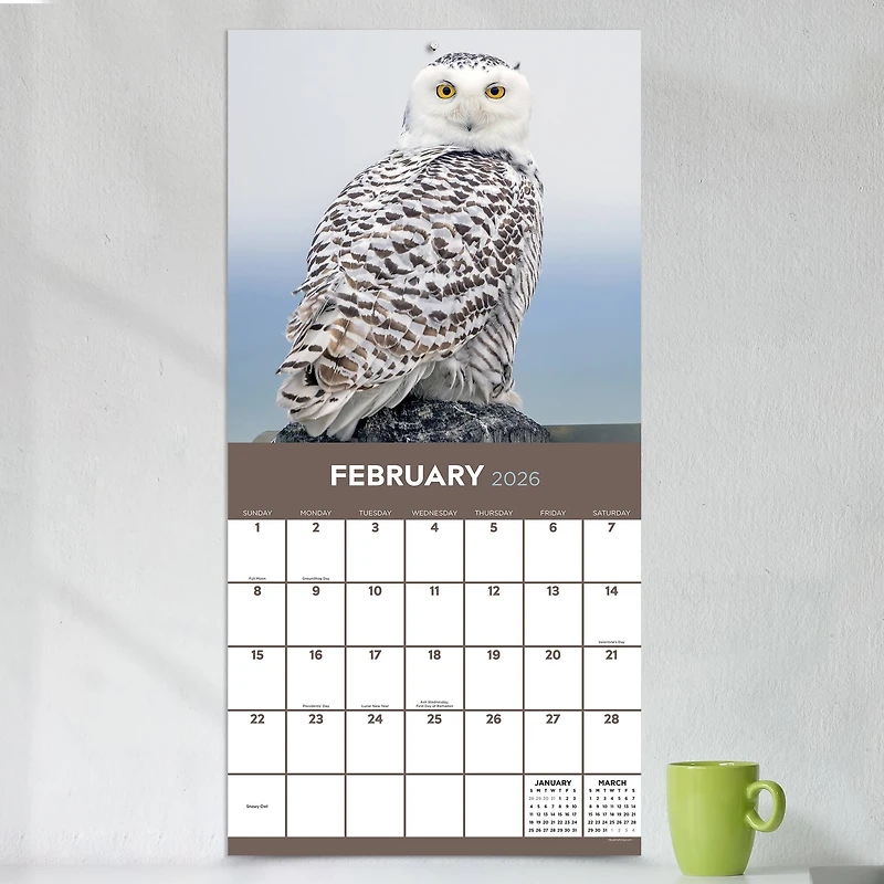 2026 Owls Wall Calendar