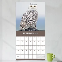 2026 Owls Wall Calendar