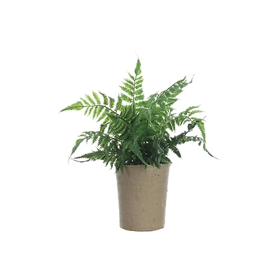Hello Honey® 13.5" Faux Fern in Paper Pot