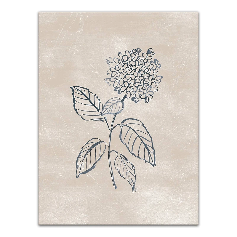Blye Hydrangea Drawing 12" x 16" Canvas Wall Art