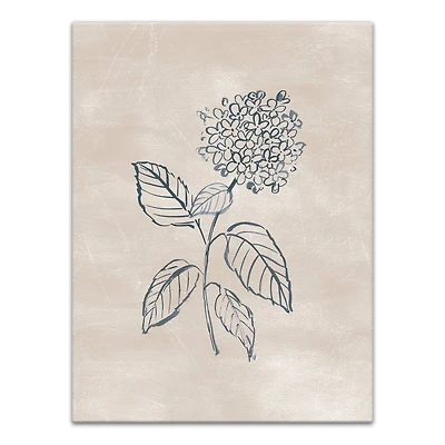 Blye Hydrangea Drawing 12" x 16" Canvas Wall Art