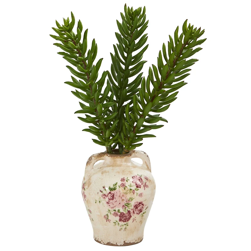 20" Succulent Plant in Floral Jar