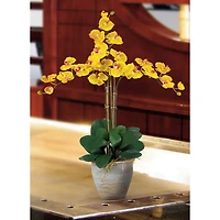 Triple Phalaenopsis Orchid Flower Arrangement In Ceramic Vase