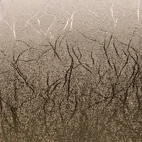 Cricut® Martha Stewart Gilded Black Tie Mixed Materials