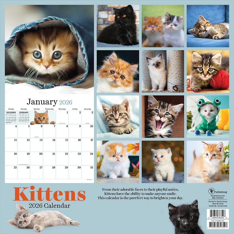 2026 Kittens Wall Calendar