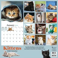 2026 Kittens Wall Calendar