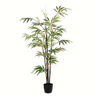 4ft. Potted Black Japanese Bamboo Tree