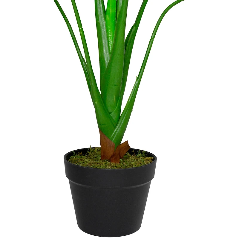 2.9ft. Potted Wide Leaf Monstera Floor Plant