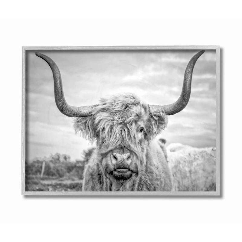 Stupell Industries Black & White Highland Cow Wall Art in Frame