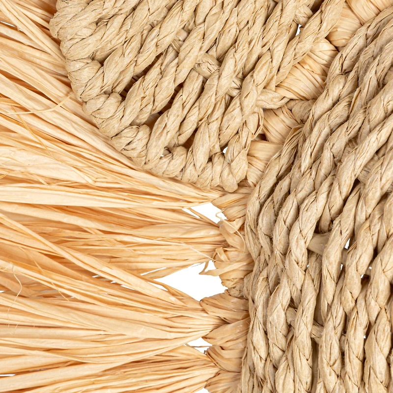 Hello Honey® 16.5" Natural Savannah King Raffia Lion Wall Art