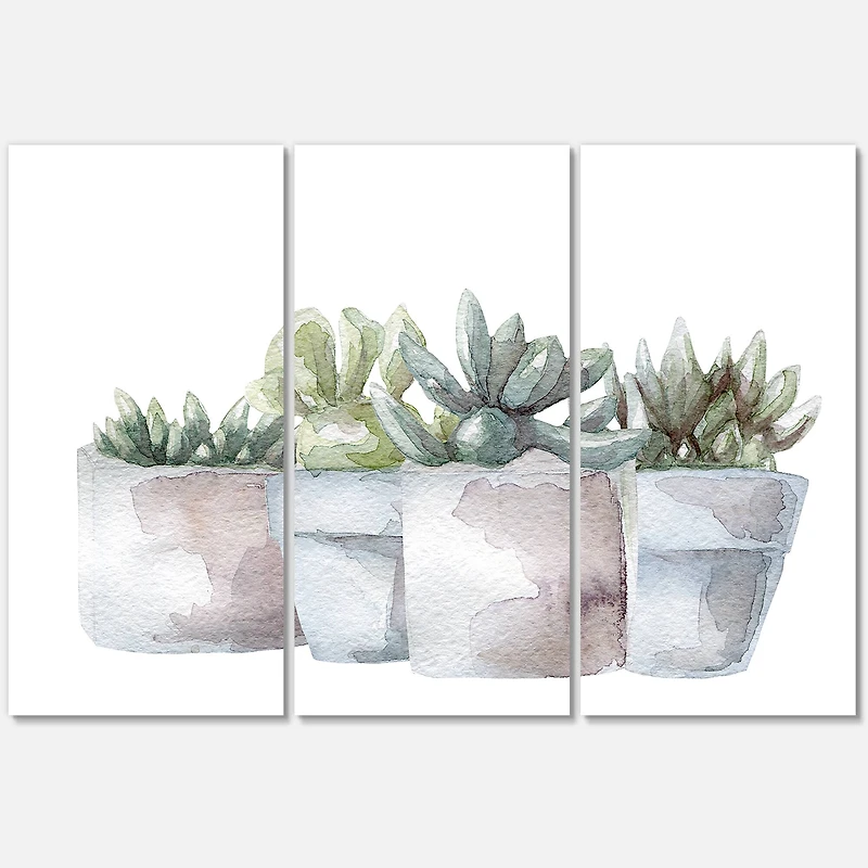 Designart - Cactus and Succulent House Plants III