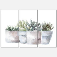 Designart - Cactus and Succulent House Plants III