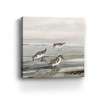 Evening Beach II Canvas Giclee