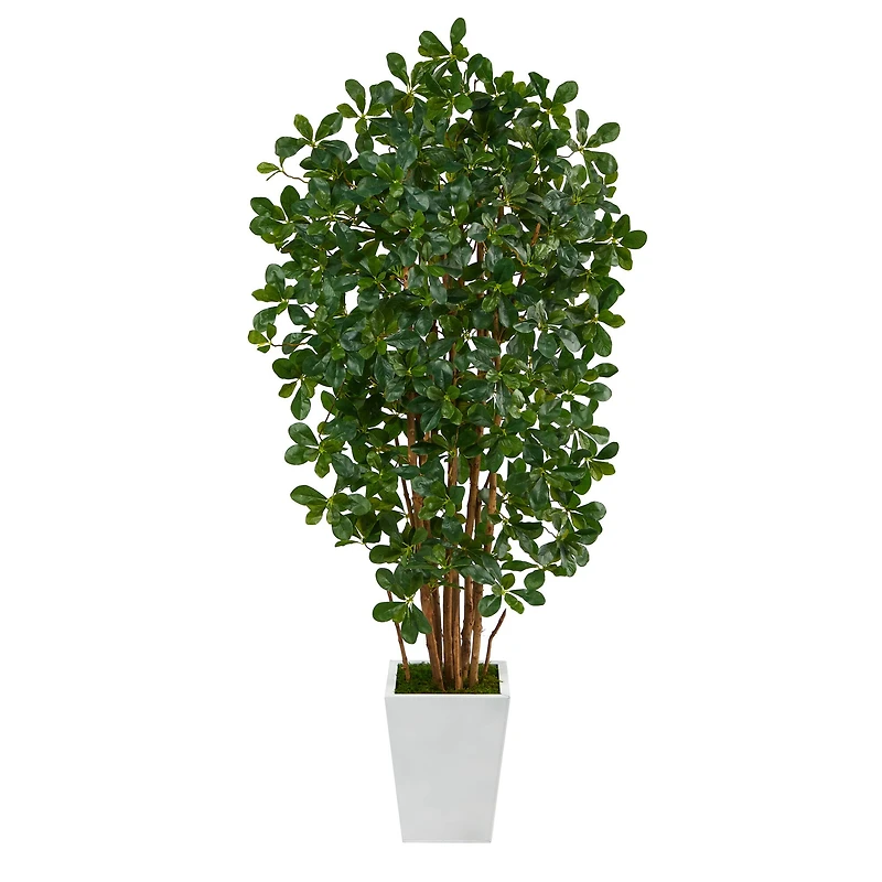 5.5ft. Black Olive Artificial Tree with 1365 Bendable Leaves in Metal White Planter