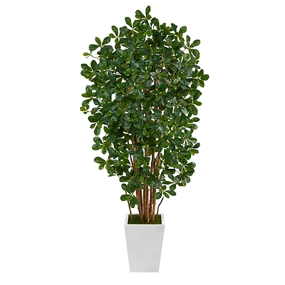 5.5ft. Black Olive Artificial Tree with 1365 Bendable Leaves in Metal White Planter