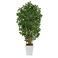 5.5ft. Black Olive Artificial Tree with 1365 Bendable Leaves in Metal White Planter