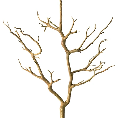 3ft. Bare Birch Branch by Ashland®