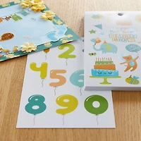 Baby Boy Birthday Sticker Book by Recollections™