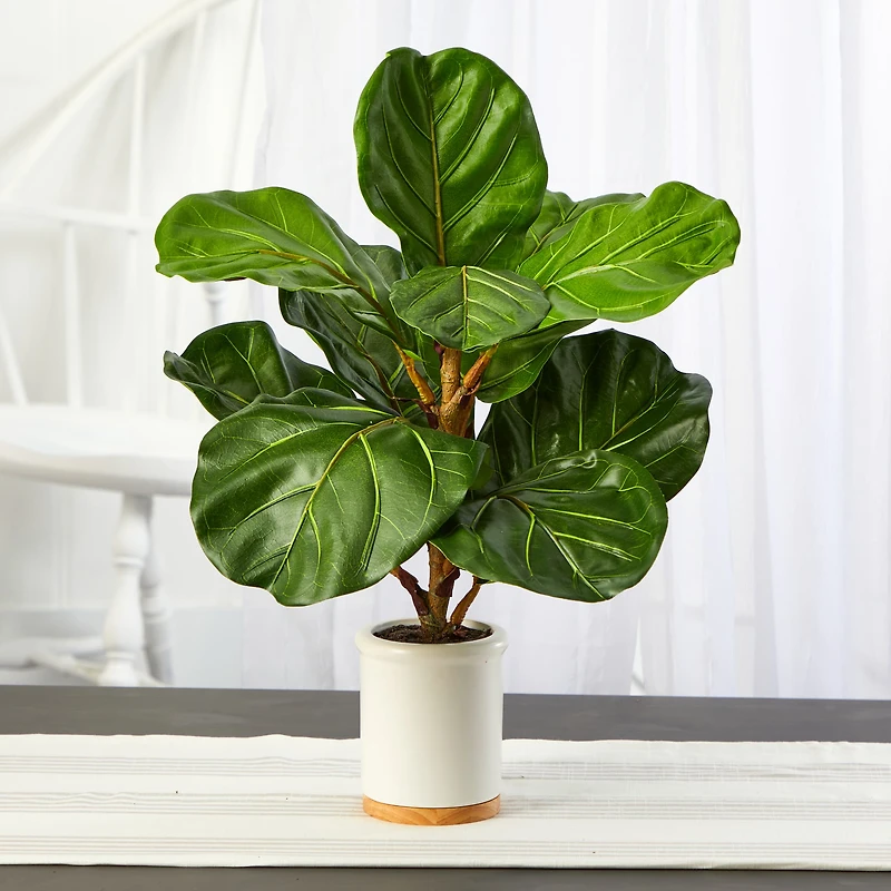 21" Fiddle Leaf Tree in White Ceramic Planter