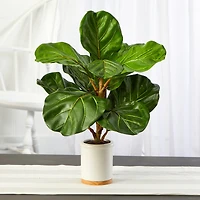 21" Fiddle Leaf Tree in White Ceramic Planter