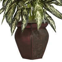 2.5ft. Chinese Evergreens in Decorative Vase