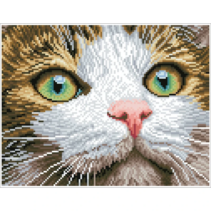 Diamond Dotz® Intermediate Green Eyed Beauty with Frame Diamond Painting Kit