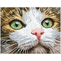 Diamond Dotz® Intermediate Green Eyed Beauty with Frame Diamond Painting Kit