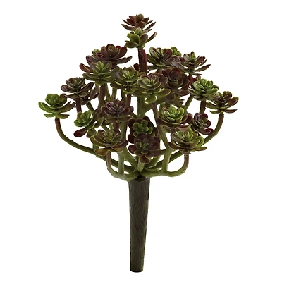Sedum Succulent Plant, 8ct.