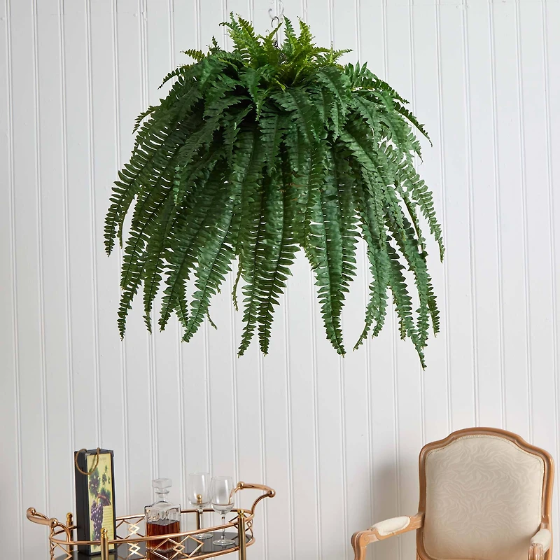 3ft. Boston Fern Plant in Metal Hanging Bowl