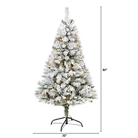 5ft. Pre-Lit White River Mountain Pine Artificial Christmas Tree, Clear LED Lights
