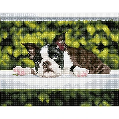 Diamond Dotz® Intermediate Boston Blues Diamond Art Painting Kit