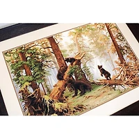 Luca-S Morning in a Pine Forest Counted Cross Stitch Kit
