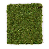 SuperMoss® Peel-N-Stick All Purpose Moss Mat