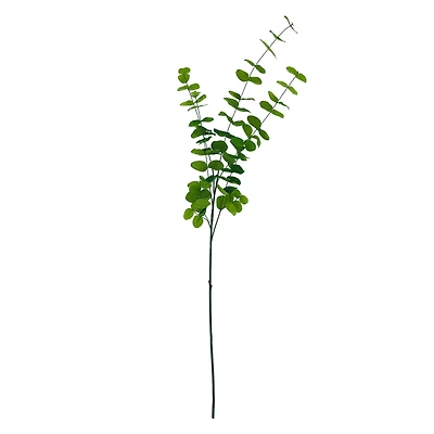 46" Green Eucalyptus Stem by Ashland®