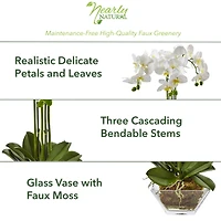 22" White Triple Orchid in Glass Vase