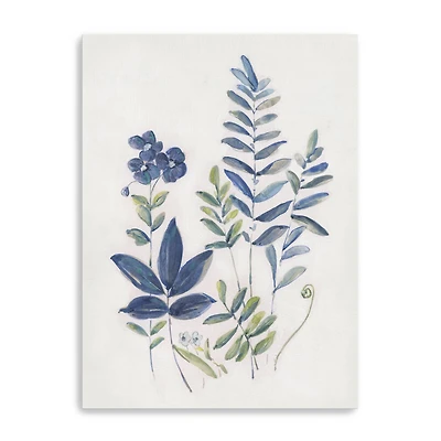 Fern Study I Canvas Giclee