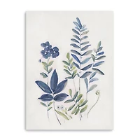 Fern Study I Canvas Giclee