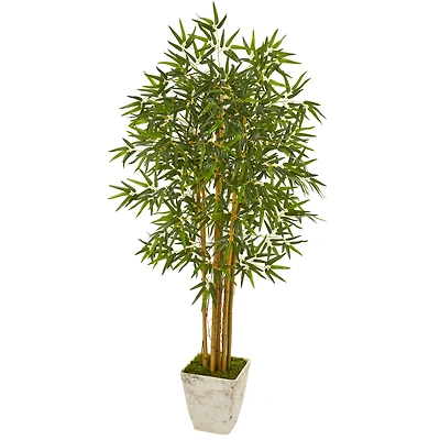 5.5ft. Bamboo Tree in Country White Planter