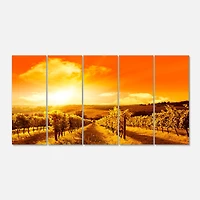 Designart - Scenic Sunset Road in Italy