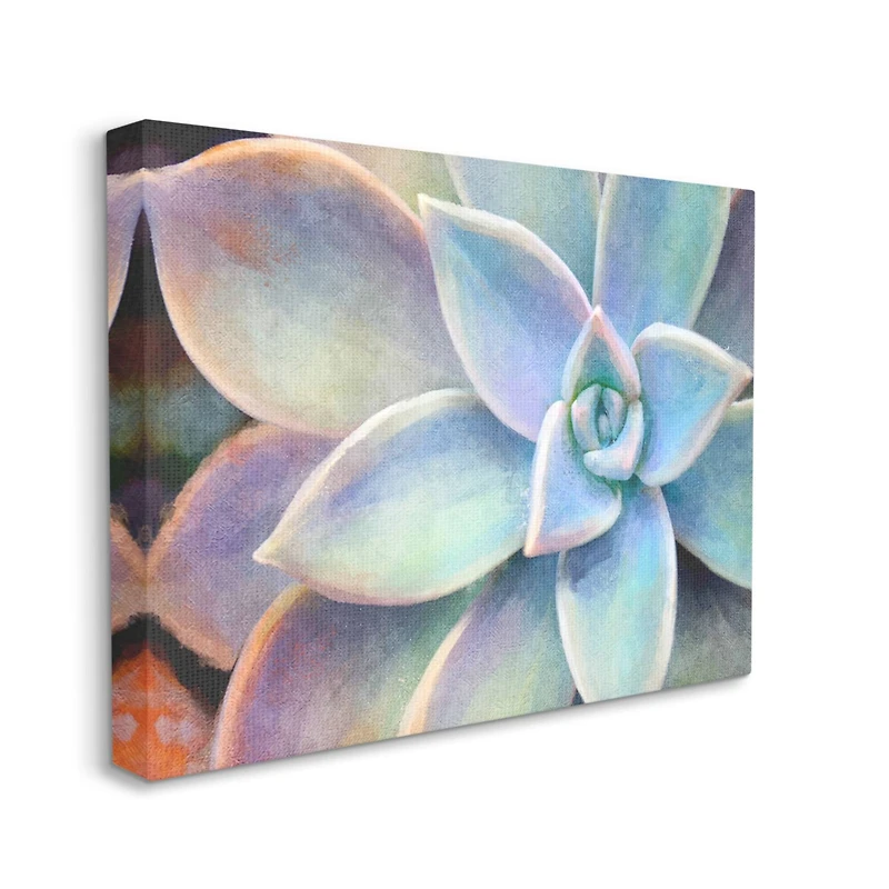 Stupell Industries Succulent Plant Vibrant Bloom Painting Canvas Wall Art